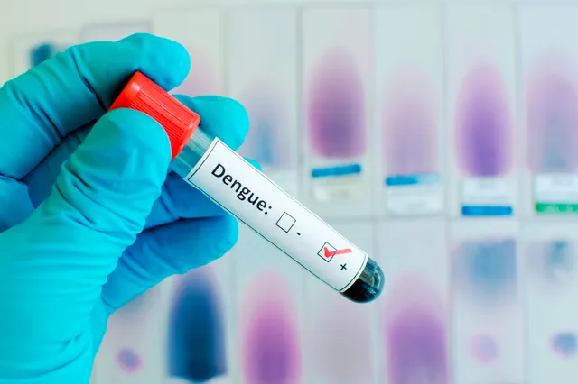 କରୋନା ସମୟରେ ରାୟଗଡାକୁ ଡରାଇଲାଣି ଡେଙ୍ଗୁ । ୧୩୯ ନମୁନାରୁ ୪୯ ଜଣଙ୍କ ରିପୋର୍ଟ ଆସିଲା ପଜିଟିଭ୍