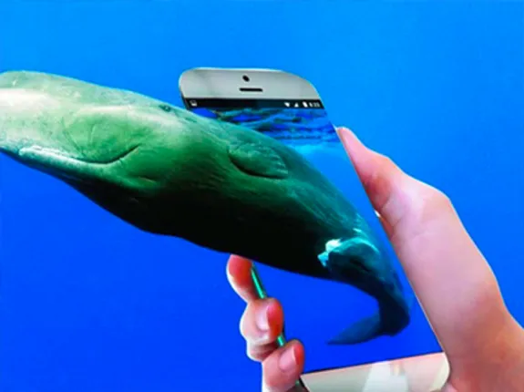 ମାରାତ୍ମକ ‘ବ୍ଲୁ ହ୍ୱେଲ’ ଗେମ୍ ! ଏହାକୁ ସର୍ଚ୍ଚ କରିବାରେ ୧୦ଟି ସହର ମଧ୍ୟରେ ରହିଛି ଭାରତର ୬ଟି ସହର