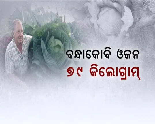 ବୃତ୍ତି ନୁହେଁ ନିଶା ! ୩୦ ବର୍ଷ ହେବ ବିଶାଳ ପନିପରିବା ଚାଷ କରି ସୃଷ୍ଟି କରିଛନ୍ତି ୱର୍ଲ୍ଡ ରେକର୍ଡ