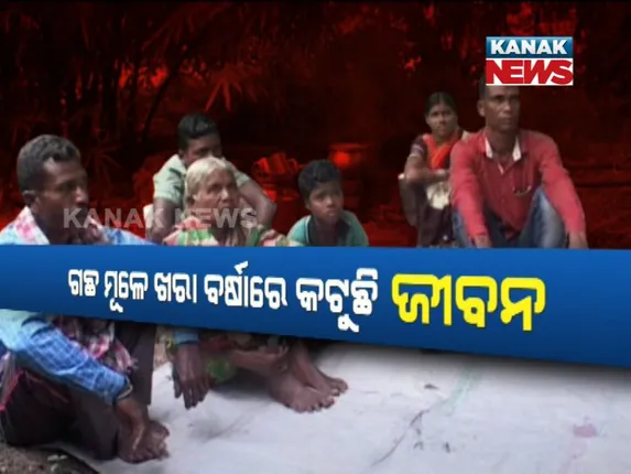 ଗୁଣି ଗାରେଡି ସନ୍ଦେହରେ ଗାଁରୁ ବାସନ୍ଦ କଲେ ଗ୍ରାମବାସୀ ! ଖୋଲା ଆକାଶ ତଳେ ପଡି ରହିଛନ୍ତି ଜୟପାଟଣାର ବିଦ୍ୟାଧର ନାୟକଙ୍କ ପରିବାର