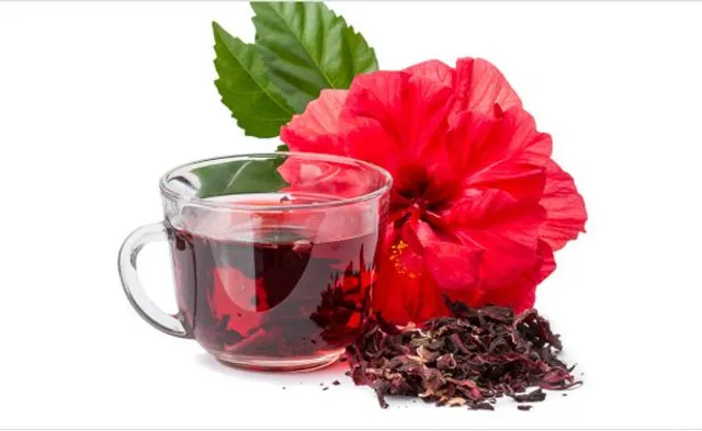 ମନ୍ଦାର ଫୁଲ ଚା'ର ଔଷଧୀୟ ଗୁଣ ବିଷୟରେ ଜାଣନ୍ତୁ . . . .