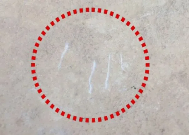 ପୁଣି ନୂଆପଡାର ହଳଦୀ ଗାଁରେ ବାଘ ଆତଙ୍କ ! କଲରାପତିଆ ମୁହଁରୁ ବଂଚିଗଲେ ଦୁଇ ଶିଶୁ