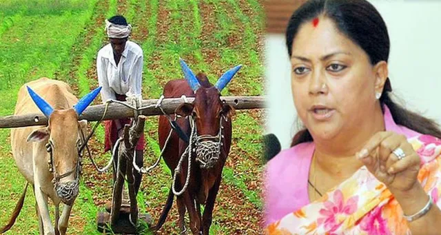 ରାଜସ୍ଥାନରେ କୃଷି ଋଣ ଛାଡ ! ୫୦ ହଜାର ପର୍ଯ୍ୟନ୍ତ ଋଣ ଛାଡ କରିବାକୁ ବସୁନ୍ଧରା ସରକାରଙ୍କ ଘୋଷଣା