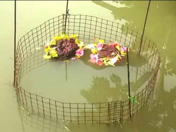 ଜଗତସିଂହପୁର : ବିରାଟ କଟକ ଗାଁ ନିକଟସ୍ଥ ହସୁଁଆ ନଦୀରେ ଭାସୁଛି ପଥର