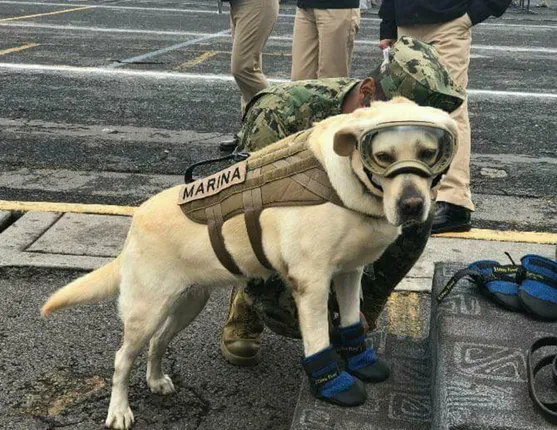 ମେକ୍ସିକୋର ହିରୋ ଫ୍ରିଡା ! ବଞ୍ଚାଇଲା ୫୪ ଜୀବନ, ପୂରା ଦେଶ କରୁଛି ସଲାମ