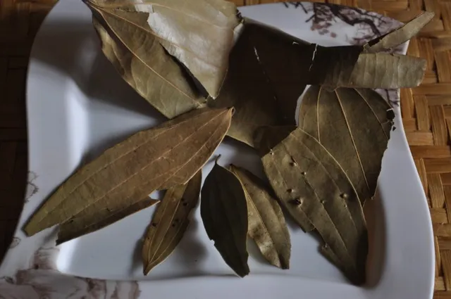 ତେଜପତ୍ରର ଔଷଧୀୟ ଗୁଣ ବିଷୟରେ  ଜାଣନ୍ତୁ ! ଅନେକ ରୋଗରୁ ତୁରନ୍ତ ଦିଏ ମୁକ୍ତି