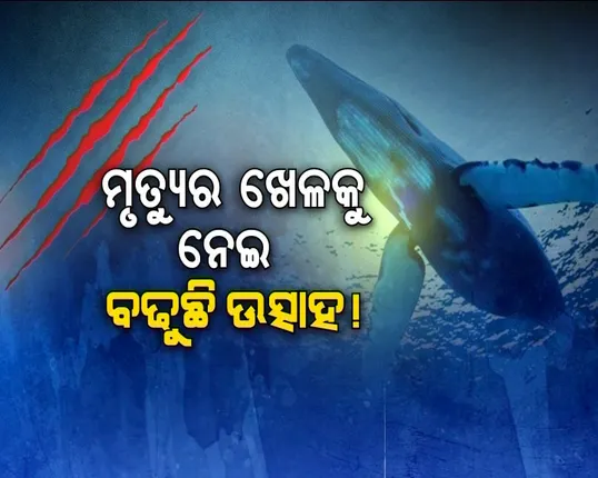 ଚାଲିଛି ନୀଳତିମିର ଖେଳ ! ମାଲକାନଗିରି ସୀମାନ୍ତ ଦାନ୍ତେୱାଡାରେ ବ୍ଲୁ ହ୍ୱେଲ ଗେମ୍ ଖେଳି ହାତ କାଟିଲେ ୩୦ ଛାତ୍ର ଛାତ୍ରୀ