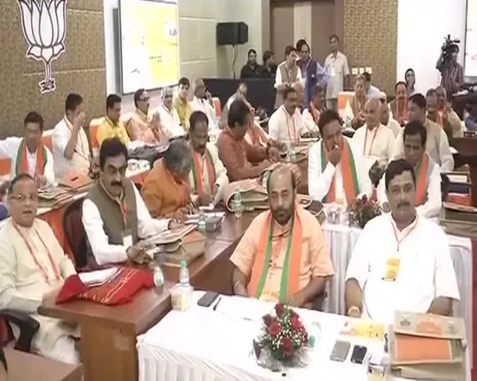 ୨୦୧୯ ପାଇଁ ବିଜେପିର ସଜବାଜ ! ଆଜି ଦିଲ୍ଲୀରେ ପରିବର୍ଦ୍ଧିତ ଜାତୀୟ କାର୍ଯ୍ୟକାରିଣୀ ବୈଠକ