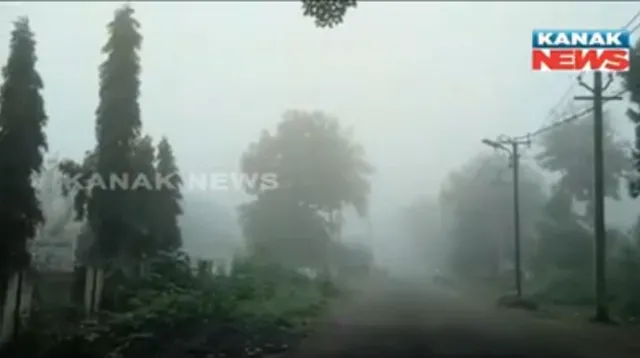 ବର୍ଷେ ପରେ ପୁଣି ଫେରିଲା କୁହୁଡି ! କାକରରେ ଆଛାଦିତ ହୋଇଛି ପ୍ରକୃତି ରାଣୀ