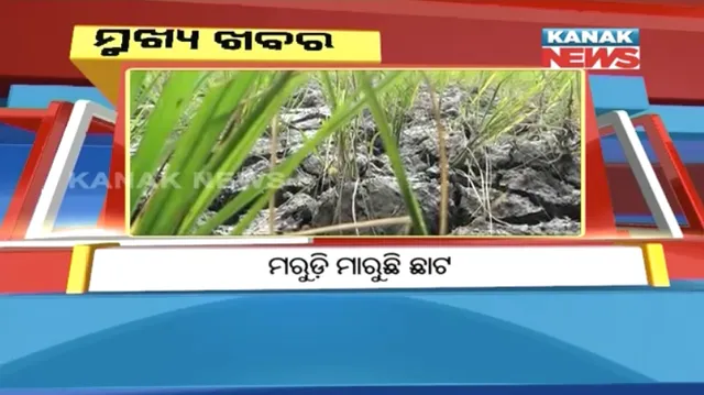 ପ୍ରାଇମ୍ ଟାଇମ୍ ନ୍ୟୁଜ୍ : ୨୪-୧୦-୨୦୧୭