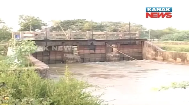 ମାଛ ଖାଇବା ସଉକ ! ନକଲି ଚାବିରେ ନଦୀବନ୍ଧର ଗେଟ ଖୋଲିଲେ, ଆଖି ପିଛୁଳାକେ ଶହ ଶହ ଏକର ଚାଷ ଜମି ଉପରେ ମାଡି ଗଲା ବନ୍ୟା ଜଳ