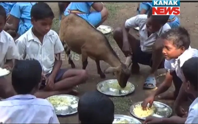 ଗଛମୂଳେ ଭବିଷ୍ୟତ ନିର୍ମାଣ ! ୩ବର୍ଷ ଧରି ଗଛ ପାଲଟିଛି ଶ୍ରେଣୀଗୃହର ଛାତ, ପିଲାଙ୍କ ସହ ଖାଦ୍ୟ ଖାଉଛନ୍ତି ଛେଳି-ବତକ