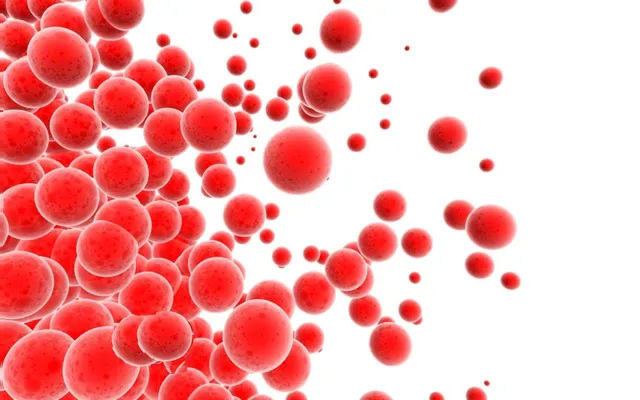 ରକ୍ତହୀନତାରୁ ରକ୍ଷା ପାଇବାର ଉପାୟ . . . . . . 