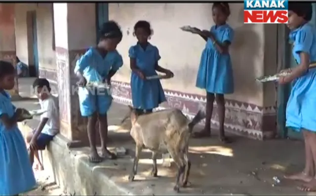 ପ୍ରାଇମ୍ ଟାଇମ୍ ନ୍ୟୁଜ୍ : ୨୮– ୧୦ -୧୭