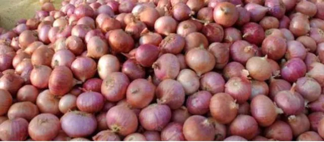 ପିଆଜ ଦର ଉପରମୁହାଁ: ଖାଉଟି ହନ୍ତସନ୍ତ,ନିଶ୍ଚିନ୍ତରେ ସରକାର