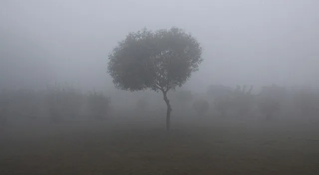 ପାଣିପାଗ କେନ୍ଦ୍ରର ପୂର୍ବାନୁମାନ ! ପଶ୍ଚିମ ତୁଳନାରେ ଉଉତ୍ତରେ ହେବ ଅଧିକ ଜାଡ଼