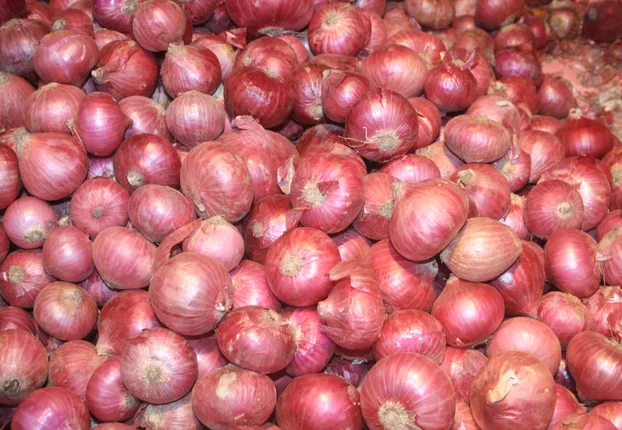 କନ୍ଦାଉଛି ପିଆଜ ! ୫୦ ଛୁଇଁଲା ପିଆଜ ଦର