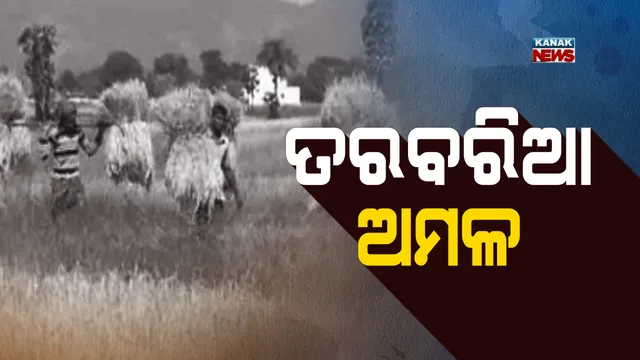 ପ୍ରାଇମ୍ ଟାଇମ୍ ନ୍ୟୁଜ୍ : ୧୨– ୧୧ -୧୭