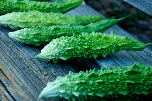 ଶରୀର ପାଇଁ କଲରା ବହୁତ ଗୁଣକାରୀ : ଆସନ୍ତୁ ଏହାର ଔଷଧୀୟ ଗୁଣ ବିଷୟରେ ଜାଣିବା . . .