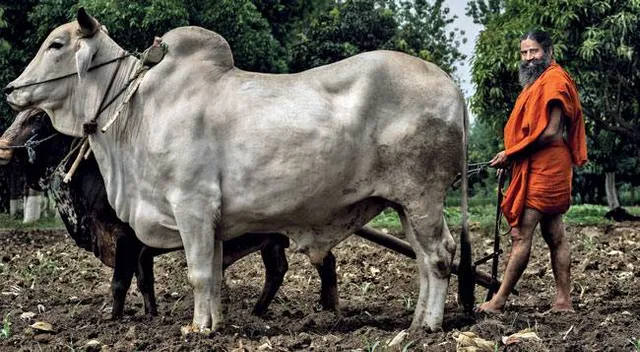 ଉପହାରରେ ଗାଈ ଦେଲେ ଯୋଗଗୁରୁ ବାବା ରାମଦେବ ! ଜାଣନ୍ତୁ କାହାକୁ ମିଳିଲା ବାବାଙ୍କ ପ୍ରିୟ ଗାଈ ?