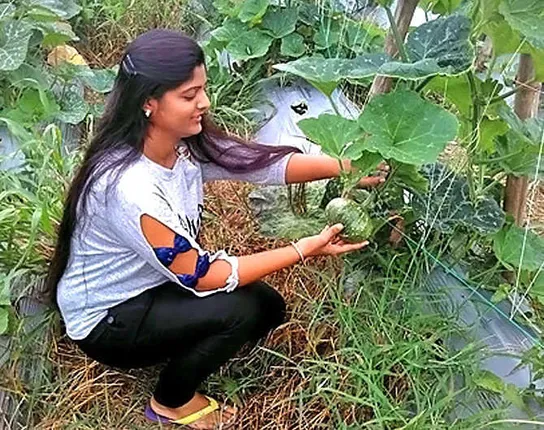 ଅଧ୍ୟାପିକା ଚାକିରିକୁ ବାଏ ବାଏ କରି ଚାଷକୁ ଆପଣାଇଲେ ଇଞ୍ଜିନିୟରିଂ ଛାତ୍ରୀ ! ପନିପରିବା ପାଇଁ ଦୁବାଇ ଓ ଇସ୍ରାଏଲରୁ ଆସୁଛି ଅର୍ଡର, ଜାଣନ୍ତୁ ୨୭ ବର୍ଷିୟା ଚାଷୀ ଭଲ୍ଲାରୀଙ୍କ କାହାଣୀ