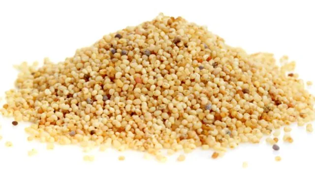 ବ୍ଲଡ ପ୍ରେସର ପାଇଁ ଆୟୁବୈଦିକ ଔଷଧ ଭଳି କାମ କରିଥାଏ ପୋସ୍ତ ! ଜାଣନ୍ତୁ ପୋସ୍ତ ଖାଇବା ଦ୍ୱାରା କଣ ମିଳିଥାଏ ଫାଇଦା