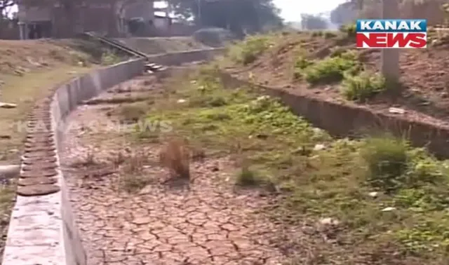 ଅଚଳ ହୋଇ ପଡିରହିଛି ମଥାନୀ ଜଳକା ପ୍ରକଳ୍ପ ! ପାଣି ଛଡାଯାଉନଥିବାରୁ ୭୦ରୁ ଅଧିକ ଗାଁରେ ପଡ଼ିଆ ପଡ଼ିଛି ଚାଷଜମି