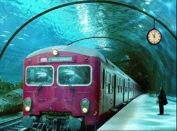 ୨୦୧୮ ସମସ୍ତଙ୍କ ପାଇଁ ହେବ ଅଧିକ ସହଜ ଓ ସରଳ ! ସରକାରୀ ଓ କର୍ପୋରେଟ୍ ଜଗତରେ ହେବ ବିରାଟ ପରବର୍ତ୍ତନ