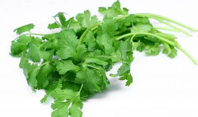 ଧନିଆ ପତ୍ର ଦ୍ୱାରା ଅନେକ ସ୍ୱାସ୍ଥ୍ୟଗତ ସମସ୍ୟା ଦୂର ହୁଏ ! ଜାଣନ୍ତୁ ଏହାର ଔଷଧିୟ ଗୁଣ ବିଷୟରେ