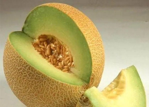 ତରଭୁଜ ମଂଜି ବହୁତ ରୋଗର ନିରାକରଣ କରିଥାଏ   : ଜାଣନ୍ତୁ ଏହାର ଅନେକ ଉପକାରୀ ଗୁଣ ବିଷୟରେ 