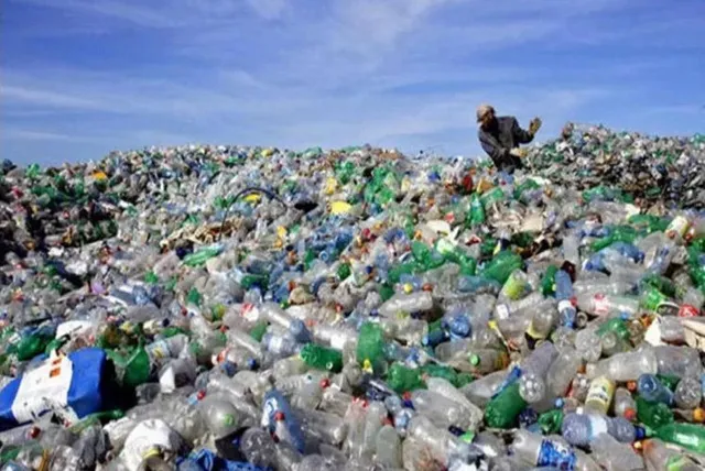 ନିତି ଆମ ଶରୀରକୁ ଯାଉଛି ପ୍ଲାଷ୍ଟିକ୍ ! ଜାଣନ୍ତୁ ଏହାର ପ୍ରକୃତ ସତ୍ୟ 