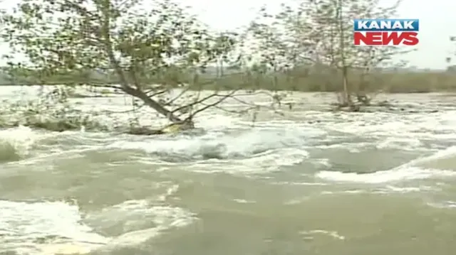 ବିନା ବର୍ଷାରେ ବନ୍ୟା ! ସମ୍ବଲପୁର ଶାସନ କେନାଲରେ ୧୫ ଫୁଟର ଘାଈ, ମୁଣ୍ଡରେ ହାତ ଦେଲେ ଚାଷୀ