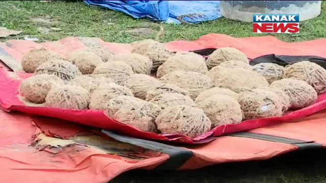 ରାଜଧାନୀରୁ ଜବତ ହେଲା ୩୨ଟି ଜୀବନ୍ତ ବୋମା ! ପାଣ୍ଡିଆନଙ୍କ ଘରକୁ ଗୋବର ପକାଇଥିବା ଯୁବକଙ୍କ ଫ୍ୟାକ୍ଟ୍ରିରୁ ବୋମା ଠାବ କଲା ପୋଲିସ