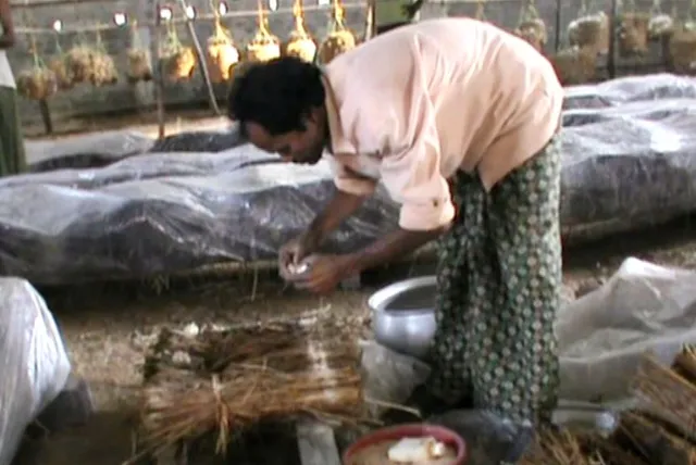 କମ୍ ଖର୍ଚ୍ଚରେ କରୁଛନ୍ତି ଅଧିକ ରୋଜଗାର । ଅଳ୍ପ ଜାଗାରେ ଛତୁ ଚାଷ କରି ମାସକୁ ପ୍ରାୟ ୨୦ ହଜାର ଟଙ୍କା ରୋଜଗାର କରି ଚାଷୀଙ୍କ ପାଇଁ ପ୍ରେରଣା ପାଲଟିଲେ ରବିନାରାୟଣ