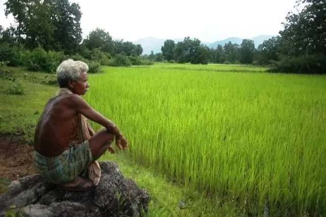 ବର୍ଷାରେ ଫସଲ କିଭଳି ରଖିବେ ସୁରକ୍ଷିତ ! ଚାଷୀ ଭାଇଙ୍କ ପାଇଁ ଗୁରୁତ୍ୱପୂର୍ଣ୍ଣ ପରାମର୍ଶ ।