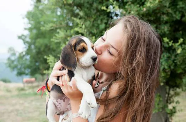 ସାବଧାନ । ଯଦି ପୋଷା କୁକୁରକୁ ଅଧିକ ଗେହ୍ଲବସର କରୁଛନ୍ତି, ତେବେ ଆପଣଙ୍କ ଶରୀର ହୋଇଯାଇପାରେ ଅକର୍ମଣ୍ୟ !