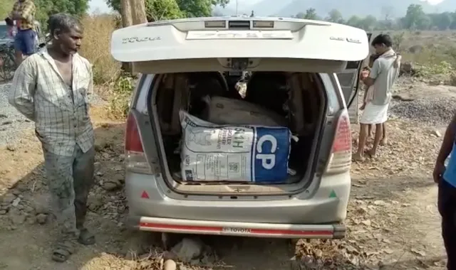 ମାଲକାନଗିରିରେ ଗଞ୍ଜେଇ ଚାଲାଣର ନୂଆ ତରିକା ! ନୀଳବତୀ ଲଗାଇ ନକଲି ଆମ୍ବୁଲାନ୍ସରେ ଚାଲିଛି ଚୋରା ଚାଲାଣ