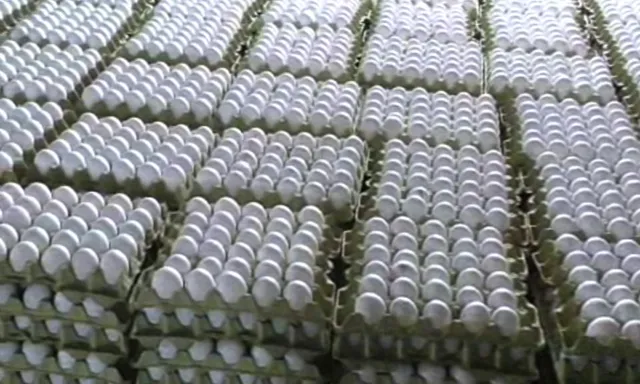 ଆସନ୍ତା ୨୦ରୁ ରାଜ୍ୟରେ ଅଣ୍ଡା ଦର ସ୍ଥିର କରିବ ନେକ୍ ବ୍ରହ୍ମପୁର : ରାଜଧାନୀ‌ ସମେତ ରାଜ୍ୟରେ ଖୋଲିବ ୧୦୦ ଆଉଟଲେଟ୍‌