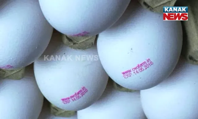 ଅଣ୍ଡାରେ ବି ରହିବ ଟ୍ୟାଗ : ବଜାରରେ ବିକ୍ରି ହେବ ଏକ୍ସପାରୀ ଟ୍ୟାଗ ଥିବା ଅଣ୍ଡା, ପ୍ରାଥମିକ ପର୍ଯ୍ୟାୟରେ ବଲାଙ୍ଗୀରରୁ କରାଗଲା ବିକ୍ରି