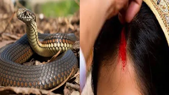 ସାପର ପତ୍ନୀ ବୋଲି ନିଜକୁ ଦାବି କରୁଥିବା ଯୁବତୀଙ୍କ ନାଗଲୋକ ଯାତ୍ରା : ଶ୍ରଦ୍ଧାଳୁ କଲେ ପୂଜାର୍ଚ୍ଚନା, ଜାଣନ୍ତୁ ଆଗକୁ କ’ଣ ହେଲା