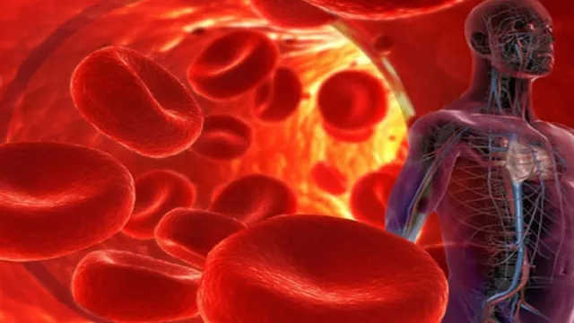 ଶରୀରରେ ରକ୍ତର ଅଭାବକୁ କେମିତି ଦୂର କରିବେ ? ଜାଣନ୍ତୁ କେଉଁ ଦୁଇଟି ଜିନିଷ ସ୍ୱାସ୍ଥ୍ୟ ପାଇଁ ଅତ୍ୟନ୍ତ ଉପକାରୀ