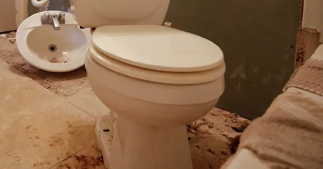 କ’ଣ ମା’ ଏମିତି କରିପାରେ! ଦୁଇଦିନର ଶିଶୁକନ୍ୟାକୁ କମୋଡରେ ଫ୍ଲସ୍ କଲା ମା’ ।