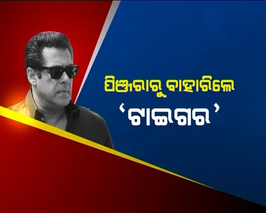 ଟାଇଗରଙ୍କୁ ବେଲ ଗ୍ରାଣ୍ଟେଡ଼ ! ଦୁଇ ରାତି କାଟିବା ପରେ ଯୋଧପୁର ସେଣ୍ଟ୍ରାଲ ଜେଲରୁ ବାହାରିଲେ ସଲମାନ