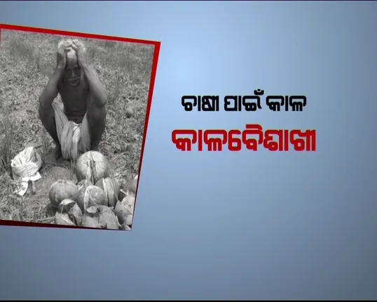 ଚାଷୀଙ୍କୁ କାଳ କାଳବୈଶାଖୀ ! ଅଦିନିଆ ବର୍ଷାରେ ସାରା ରାଜ୍ୟରେ ଉଜୁଡି ଯାଇଛି ଫସଲ, କେଉଁଠି ଜମିରେ ଗଡୁଛି ଫଟା ତରଭୁଜ ତ ପୁଣି କେଉଁଠି ନଷ୍ଟ ହୋଇଛି ଧାନ