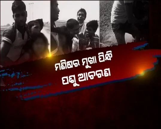 ସରମରେ ନଇଁଗଲା ମୁଣ୍ଡ ! ବିଚ୍ ରାସ୍ତାରେ ଗୋଡ଼ାଇ ଗୋଡ଼ାଇ ଯୁବତୀଙ୍କ ଡ୍ରେସ ଚିରିଲେ ୮ ଯୁବକ