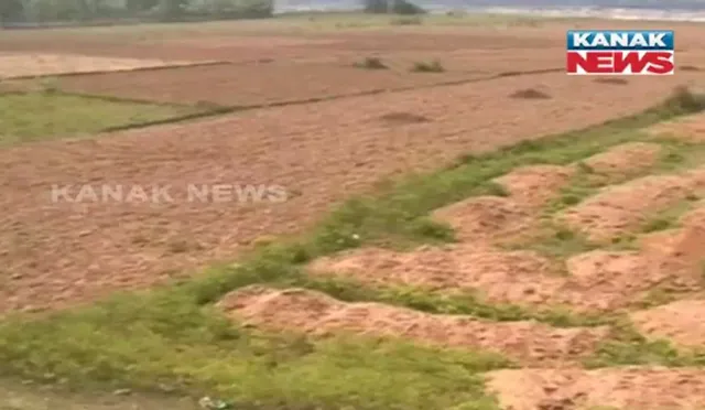 ପାଣି ପାଇଁ ଡହକବିକଳ କଳିଙ୍ଗନଗରବାସୀ ! କମ୍ପାନୀକୁ ପ୍ରଚୁର ପରିମାଣର ପାଣି, ହେଲେ ଶୁଖିଲା ପଡ଼ିଛି ଚାଷଜମି