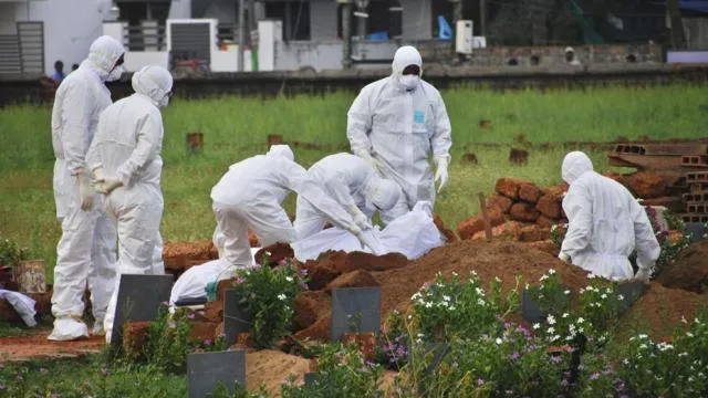 ନିପା ଭାଇରସକୁ ନେଇ ଡାକ୍ତରଙ୍କ ସାଘାଂତିକ ତଥ୍ୟ : ବାଦୁଡି ନୁହେଁ ବରଂ ଏହି ଭୂତାଣୁ ପାଇଁ ଦାୟୀ ଅନ୍ୟ କେହି