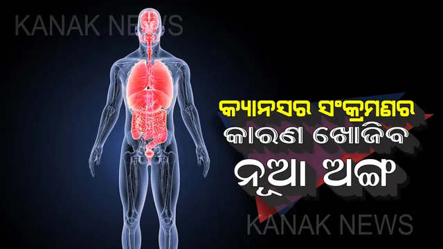ଚିକିତ୍ସା ବିଜ୍ଞାନ କ୍ଷେତ୍ରରେ ମିଳିଲା ବଡ ସଫଳତା : ଆବିଷ୍କାର ହେଲା ମାନବ ଶରୀରର ନୂଆ ଅଙ୍ଗ
