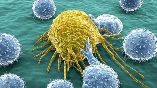 ଆଶ୍ଚର୍ଯ୍ୟ ହୋଇଯିବେ ଆପଣ ! ଆପଣଙ୍କ ନିତିଦିନିଆ ଅଭ୍ୟାସ ବି ହୋଇପାରେ କ୍ୟାନସର ହେବାର କାରଣ, ଜାଣନ୍ତୁ କିପରି