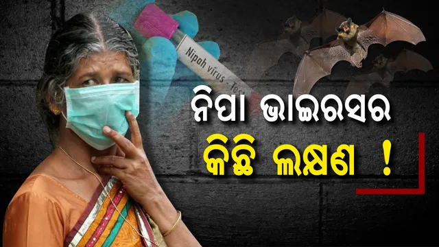 ସାଂଘାତିକ ରୂପ ନେଲାଣି ନିପା ଭାଇରସ ! ରକ୍ଷା ପାଇବା ପାଇଁ ଆପଣାନ୍ତୁ କିଛି ଜରୁରୀ ଟିପ୍ସ, ଦୁଇ ଦିନରୁ ଅଧିକ ଜ୍ୱର ରହିଲେ ଡାକ୍ତର ଦେଖାଇବାକୁ ଭୁଲନ୍ତୁ ନାହିଁ
